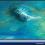 Смартфон Huawei Mate 20X 6/128GB (Midnight Blue)