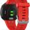Часы Garmin Forerunner 45 Red (010-02156-16)