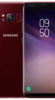 Смартфон Samsung Galaxy S8+ G955FD Duos 64Gb Red
