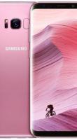 Смартфон Samsung Galaxy S8+ G955FD Duos 64Gb Rose Pink