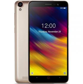 Смартфон Doogee X100 gold