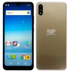 Смартфон Santin Life Shine gold