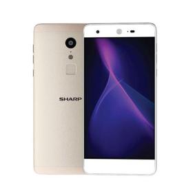 Смартфон Santin HongQi HQ1 gold (Global)